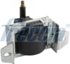 IC15-1004