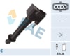FAE80459