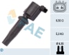 FAE80231