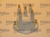 VAL243893